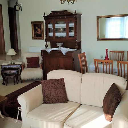 ChrysiDeppy'S House Κοντά Στα Λουτρά Πόζαρアパートメント エクステリア 写真