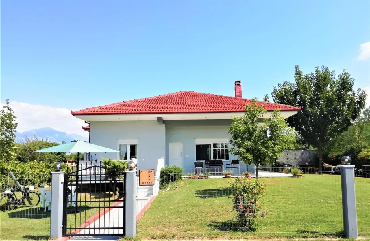 ChrysiDeppy'S House Κοντά Στα Λουτρά Πόζαρアパートメント エクステリア 写真