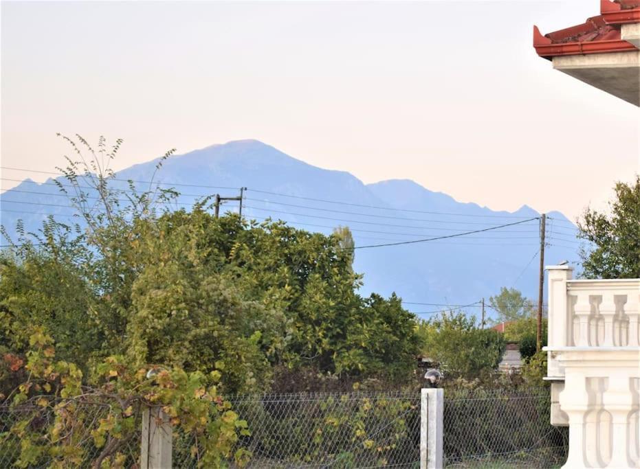 ChrysiDeppy'S House Κοντά Στα Λουτρά Πόζαρアパートメント エクステリア 写真