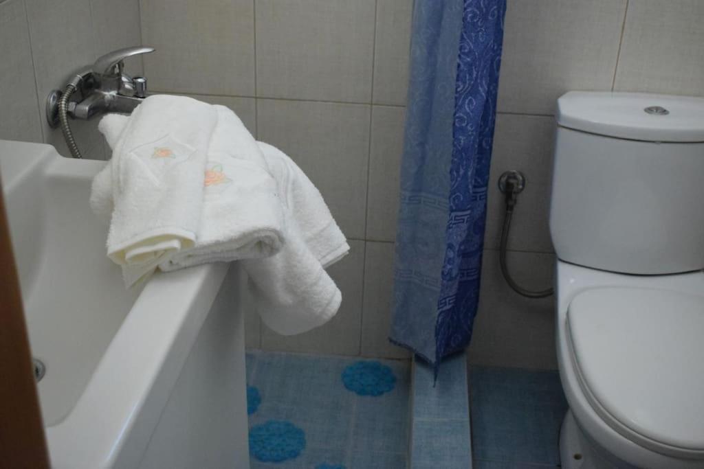 ChrysiDeppy'S House Κοντά Στα Λουτρά Πόζαρアパートメント エクステリア 写真