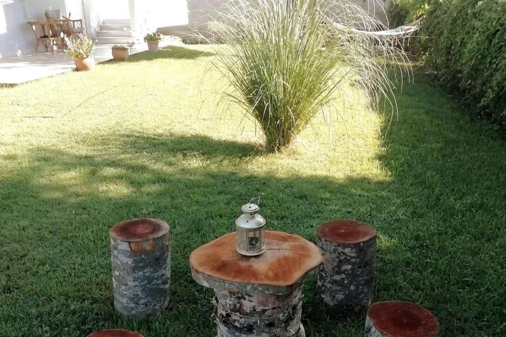 ChrysiDeppy'S House Κοντά Στα Λουτρά Πόζαρアパートメント エクステリア 写真
