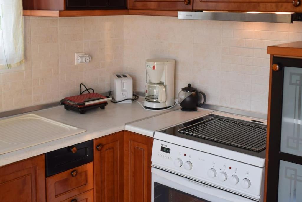 ChrysiDeppy'S House Κοντά Στα Λουτρά Πόζαρアパートメント エクステリア 写真