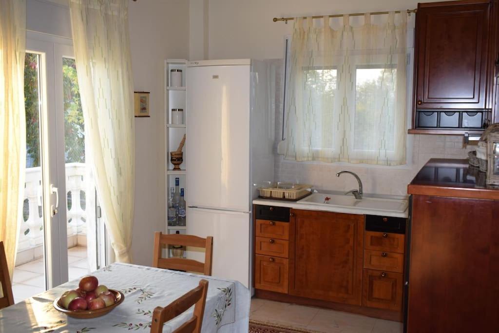 ChrysiDeppy'S House Κοντά Στα Λουτρά Πόζαρアパートメント エクステリア 写真