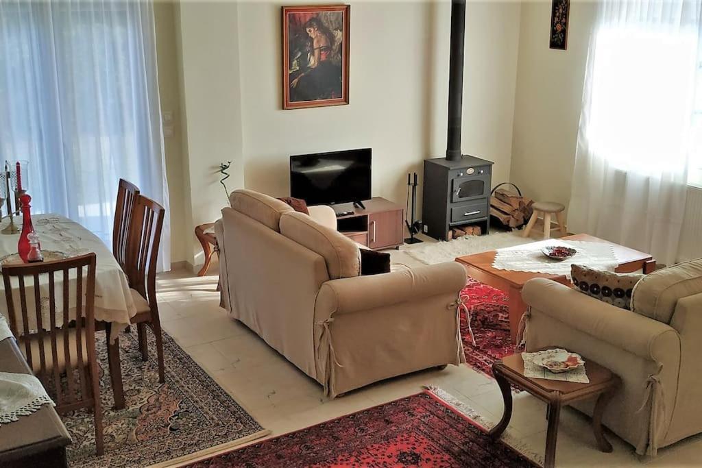 ChrysiDeppy'S House Κοντά Στα Λουτρά Πόζαρアパートメント エクステリア 写真
