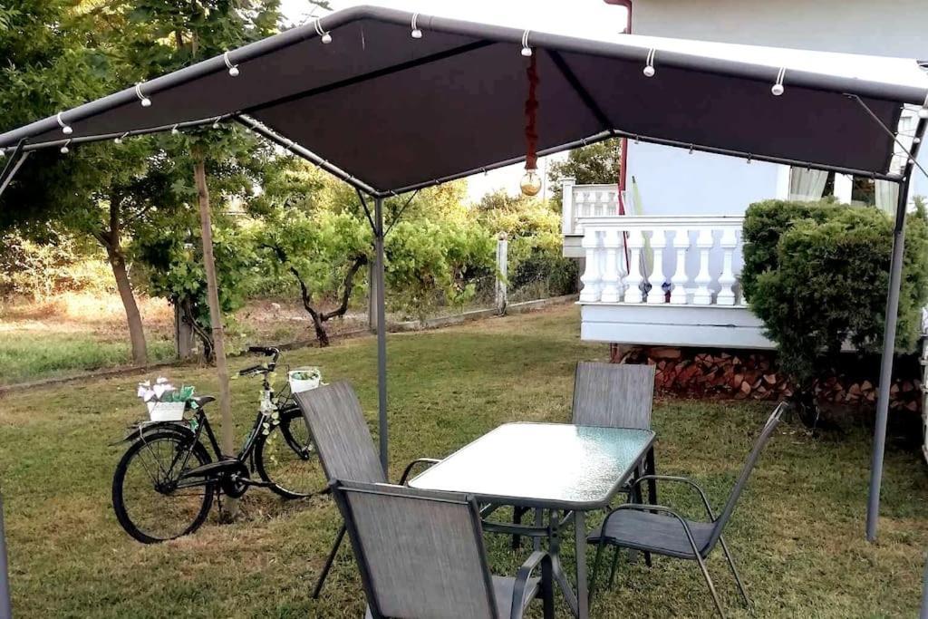 ChrysiDeppy'S House Κοντά Στα Λουτρά Πόζαρアパートメント エクステリア 写真
